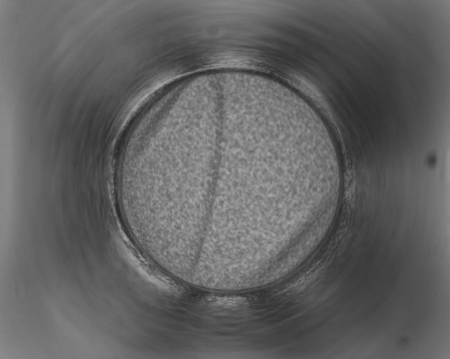 X0000115511043200912041057