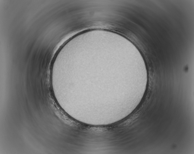 X0000115511044200912041057