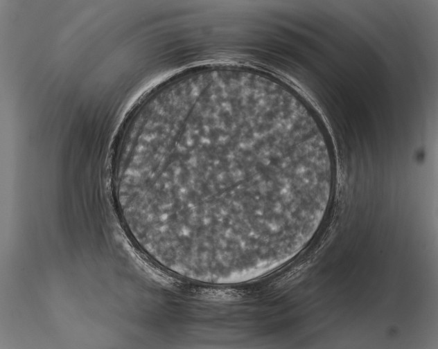 X0000115511045200912041057