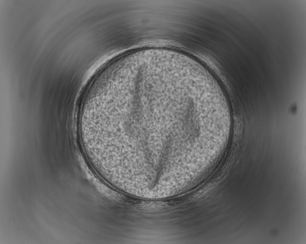 X0000115511046200912041057