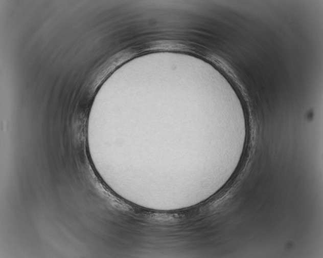 X0000115511049200912041057