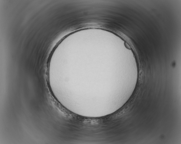 X0000115511051200912041057