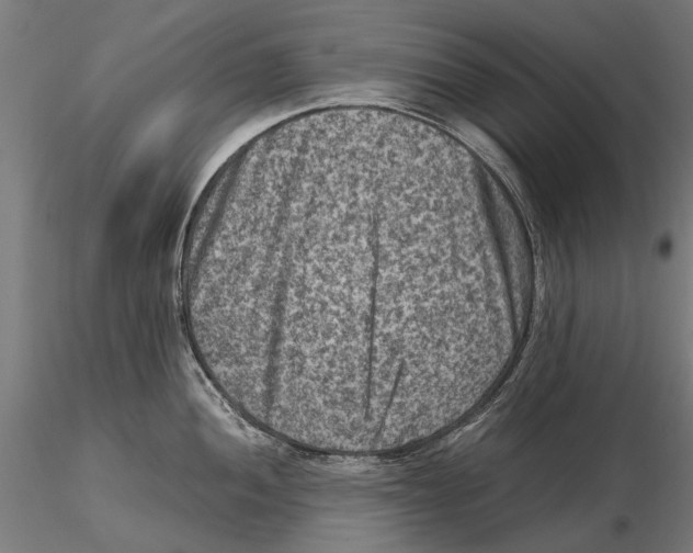 X0000115511052200912041057