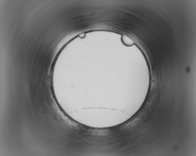 X0000115511053200912041057