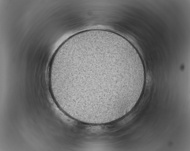 X0000115511054200912041057