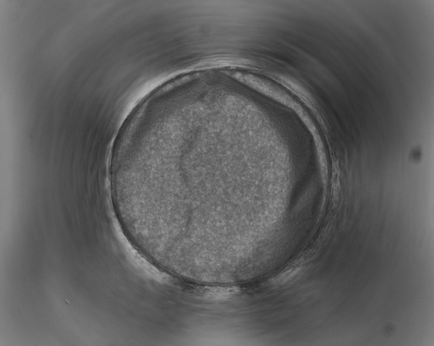 X0000115511055200912041057