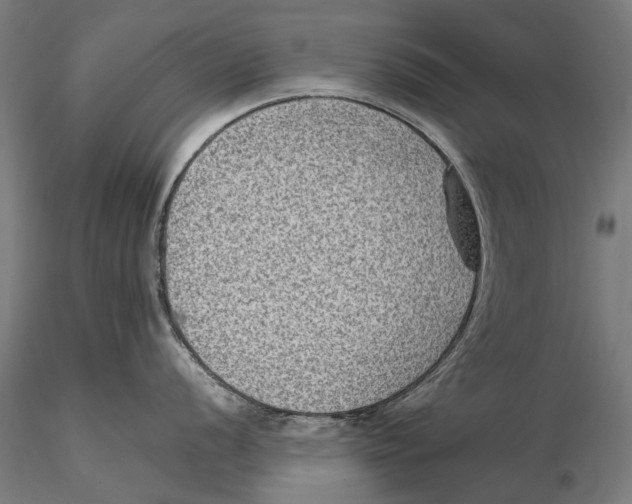 X0000115511056200912041057