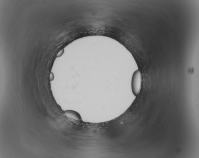 X0000115511057200912041057