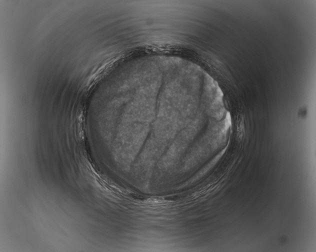 X0000115511060200912041057