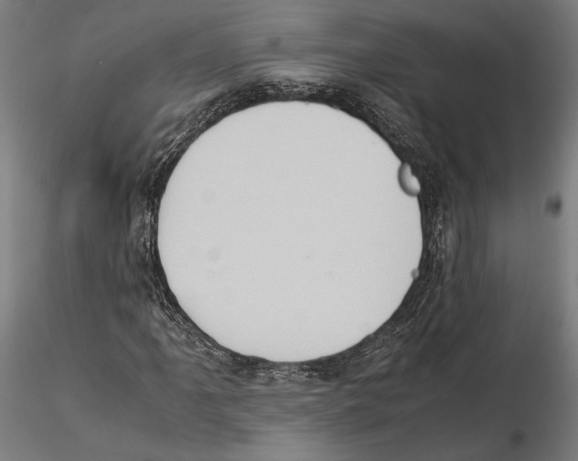 X0000115511061200912041057