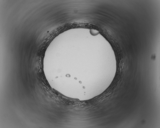 X0000115511062200912041056