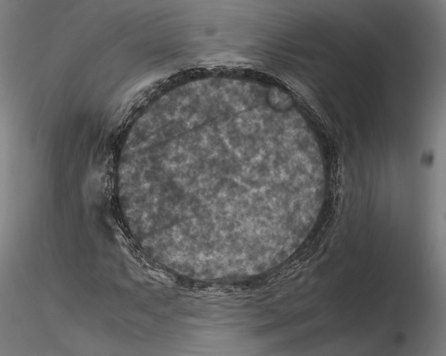 X0000115511063200912041056