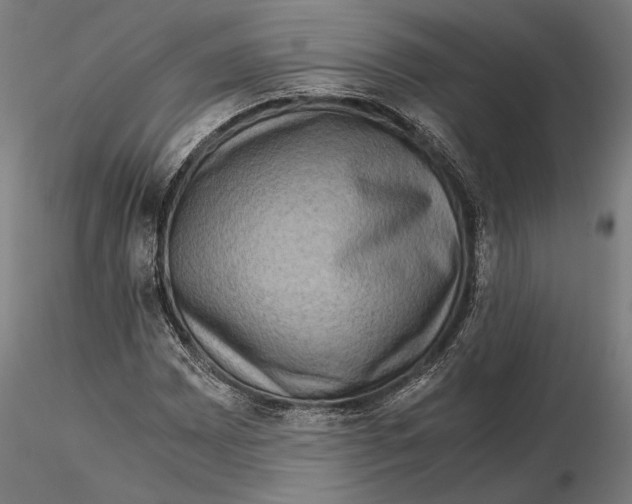 X0000115511065200912041056