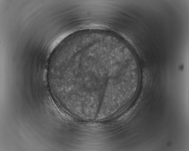 X0000115511066200912041056