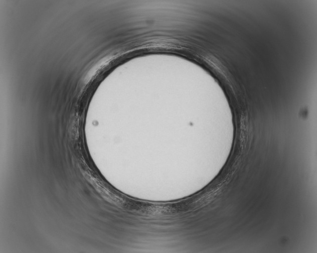 X0000115511067200912041056