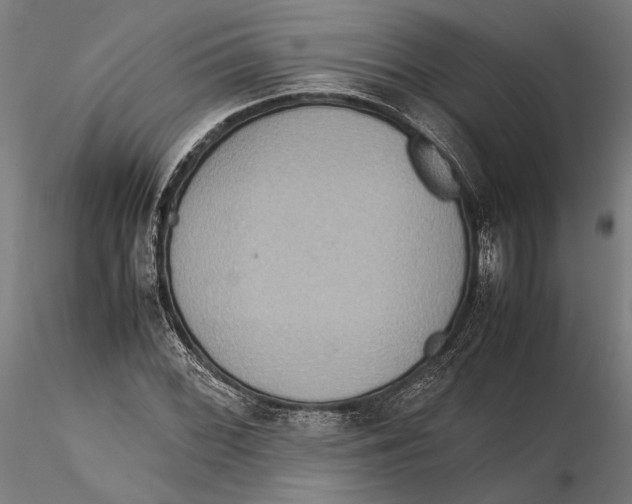 X0000115511068200912041056