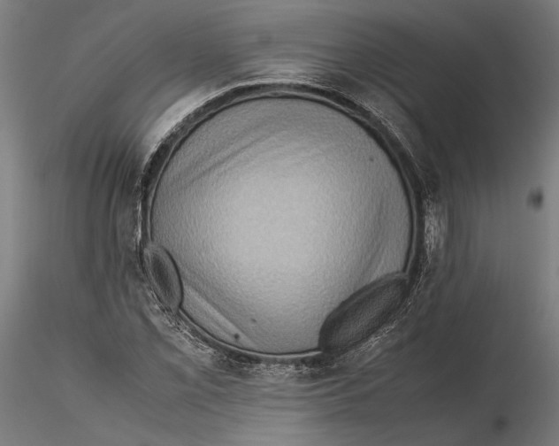 X0000115511069200912041056