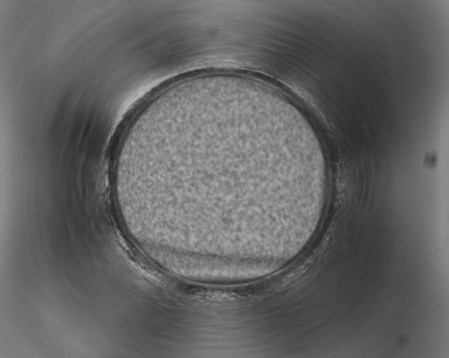 X0000115511070200912041056