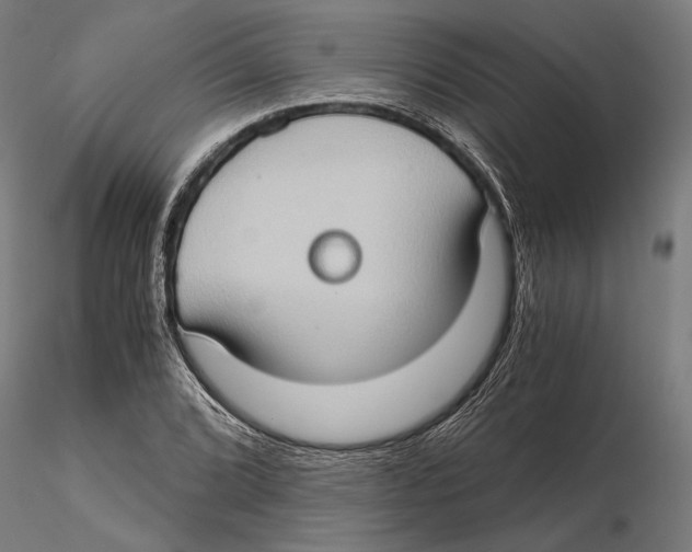 X0000115511072200912041056