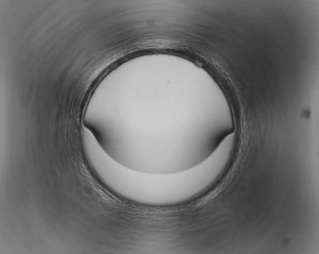 X0000115511073200912041056