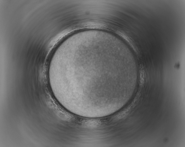 X0000115511074200912041056