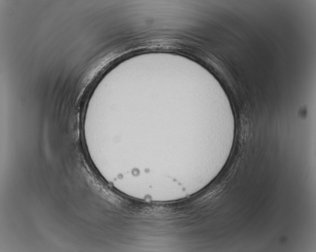 X0000115511075200912041056