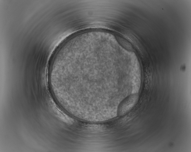 X0000115511076200912041056