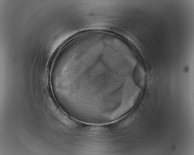 X0000115511077200912041056