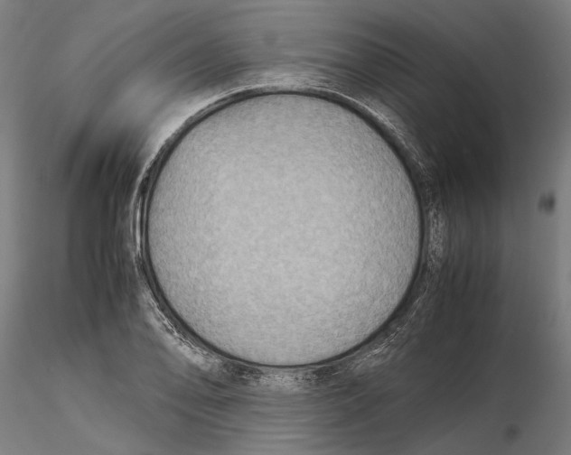 X0000115511078200912041056