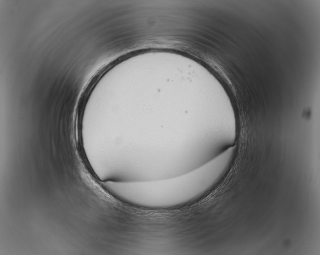 X0000115511080200912041056