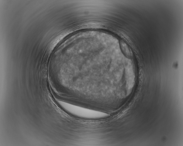 X0000115511081200912041056