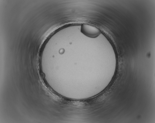 X0000115511085200912041056