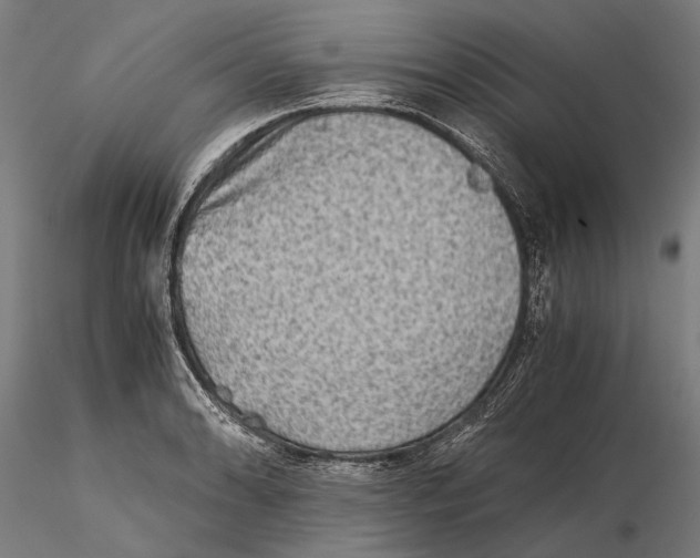 X0000115511086200912041056