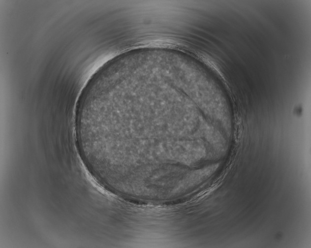 X0000115511087200912041056