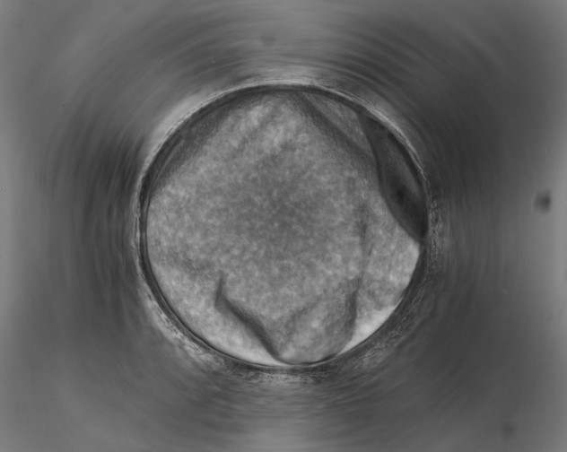 X0000115511088200912041056