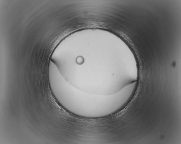 X0000115511089200912041056