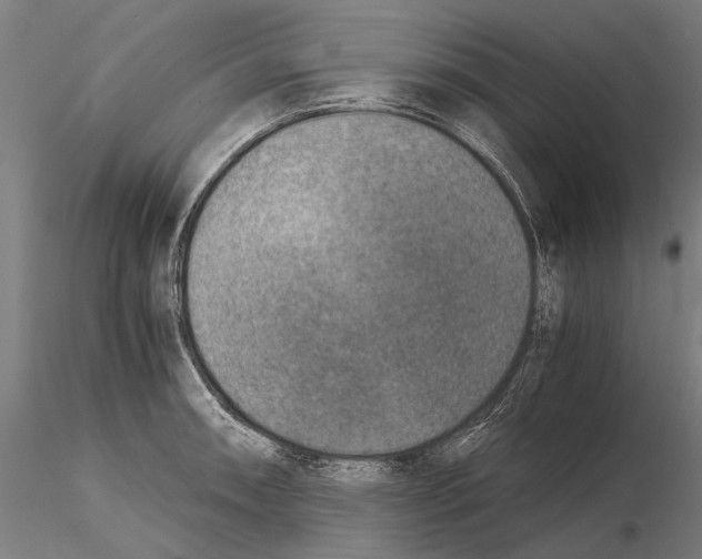 X0000115511090200912041056