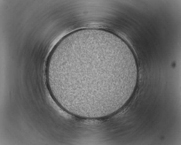 X0000115511091200912041056