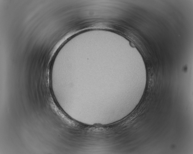 X0000115511092200912041056