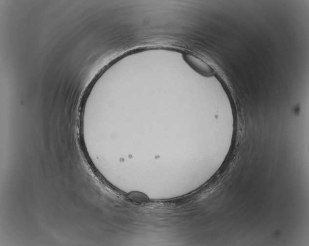 X0000115511093200912041056