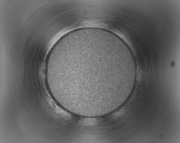 X0000115511094200912041056