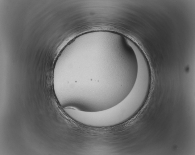 X0000115511097200912041056