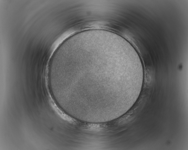 X0000115511098200912041056