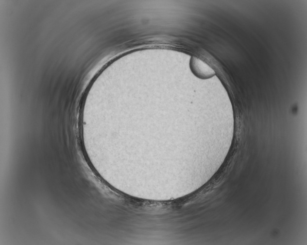 X0000115511099200912041056