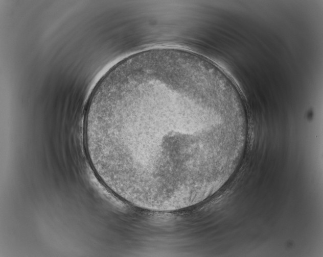 X0000115511100200912041056