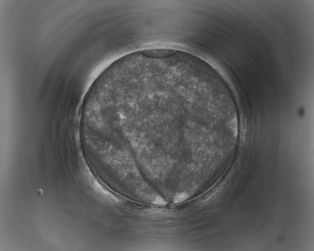 X0000115511102200912041056