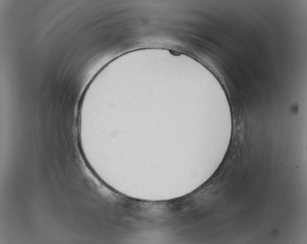 X0000115511103200912041056