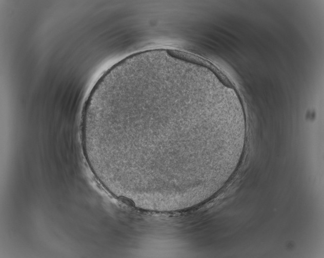 X0000115511104200912041056