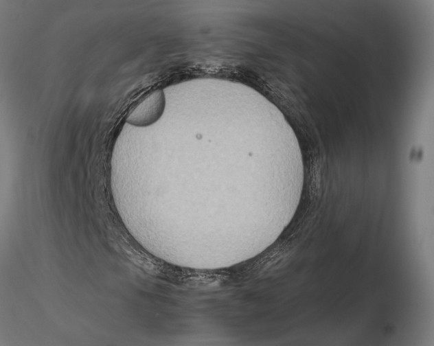 X0000115511105200912041055