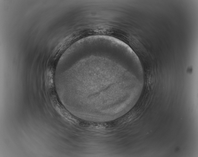 X0000115511106200912041055